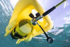 Martin VIZIBLE - Escale Création