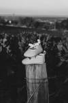 LORCHEL JUSTINE - Just une Comm