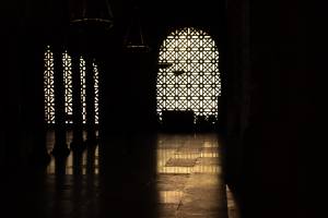 François RAMIREZ - RAMIREZ CAPTURES